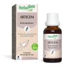 ARTIGEM (Joints Complex)